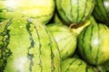 Water melon fruit close up image Royalty Free Stock Photo