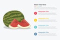 Water melon fruit infographics with some point title description for information template -