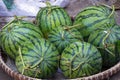 Water melon fruit in tropic market