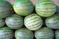 Water melon fruits on market