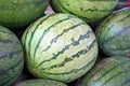 Water melon fruits on market