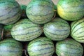 Water melon fruits on market