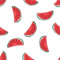 Water Melon Hand drawn Seamless Pattern Vector Illustration.