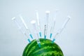 Water melon with a hypodermic syringes