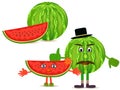 Water-melon illustration Royalty Free Stock Photo