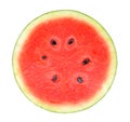Water melon isolated on the white background Royalty Free Stock Photo