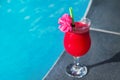 Water melon red fresh juice smoothie drink cocktail swimming pool Royalty Free Stock Photo