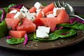 Water melon salad Royalty Free Stock Photo