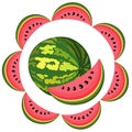 Water-melon segment