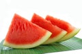 Water melon slice Royalty Free Stock Photo