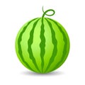 Water melon vector icon Royalty Free Stock Photo