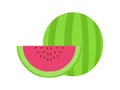 Water melon.Vector fruit illustration