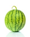 Green Water melon on white Royalty Free Stock Photo
