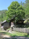 Water mill at Kvacianska dolina - valley in region Liptov, Slova