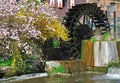 Water Mill on the lower Rhine Royalty Free Stock Photo