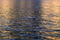 Water and mirroring evening sun