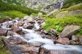 The water of a mountain river with rocks and dwarf-pine near the waterfall Skok in the High Tatras. Beautiful Slovakia.