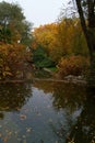 water, nature, river, trees, landscape, autumn, stream, trees, green, park,