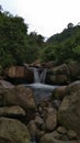 Water nature view waterfall tree