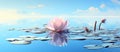 Water nature zen beauty blooming pink blossom flower petal plant lotus background background lily Royalty Free Stock Photo