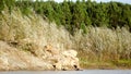 Water North of the Yakut kempendyay river, the road with a pile of stones at the cliff and stripe small light the bushes