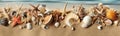 sea holiday beach sand ocean summer nature tropical banner shell. Generative AI. Royalty Free Stock Photo