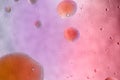 Water and oil, color abstract background based on pink, rose, purple and yellow color circles and ovals, macro abstraction, real Royalty Free Stock Photo