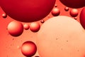 Water and oil on light orange background - Abstract macro Royalty Free Stock Photo