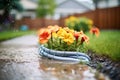 water oozes from a soaker hose in a flower bed Royalty Free Stock Photo