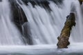 Water Over A Dam with Driftwood Royalty Free Stock Photo