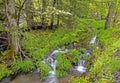 Water cascades over rocks and boulders in the Smokies. Royalty Free Stock Photo