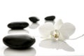 Water overflowing orchid and zen stones Royalty Free Stock Photo