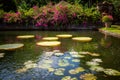 Water Palace of Tirta Gangga in East Bali, Indonesia. Royalty Free Stock Photo