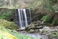 Water path with silk effect. small river flowing from the waterfall in the middle of a wooded plain Royalty Free Stock Photo