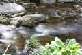 Water path with silk effect. small river flowing from the waterfall in the middle of a wooded plain Royalty Free Stock Photo