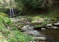 Water path with silk effect. small river flowing from the waterfall in the middle of a wooded plain Royalty Free Stock Photo