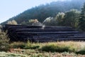 Water pile of logs