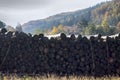 Water pile of logs