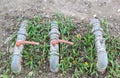 A water pipes on the green grass Royalty Free Stock Photo