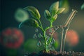 Water plant and the seedlings that grow in order of germination on fertile soils