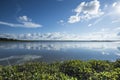 Water plants in Asian lake with dramatic early morning sky