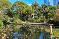 Lotus pond in the Royal Botanic Garden, Sydney, Australia Royalty Free Stock Photo