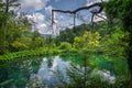 Water plants and trees surrounding small turquoise pond in Plitvice Lakes Royalty Free Stock Photo