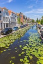 Water plants in the Turfmarkt canal in historic city Gouda