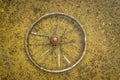 Rusty Bike Wheel in the Water. Royalty Free Stock Photo