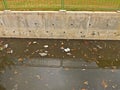 Water pollution - canal Royalty Free Stock Photo