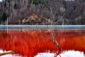 Water pollution of a copper mine exploitation