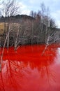 Water pollution of a gold mine exploitation in Rosia Montana, Romania