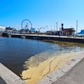 Water pollution at Helsinki's waterfront