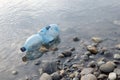 Water pollution. Plastic bottle on the river beach. Royalty Free Stock Photo